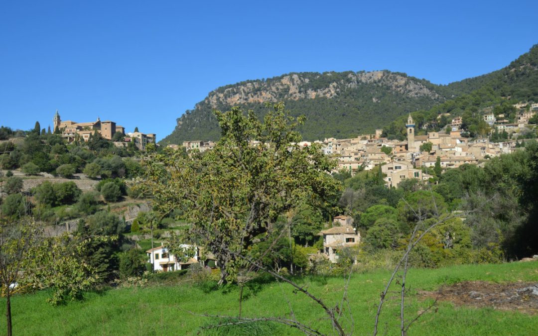 A town in Mallorca is considered the most beautiful in the world